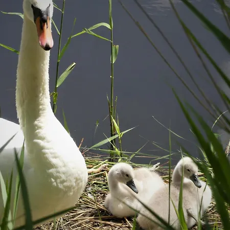 Bed & Breakfast Dutch African Breeze *