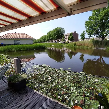 Dutch African Breeze * Den Helder