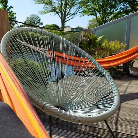 Dutch African Breeze *