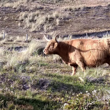 Dutch African Breeze Bed & Breakfast *