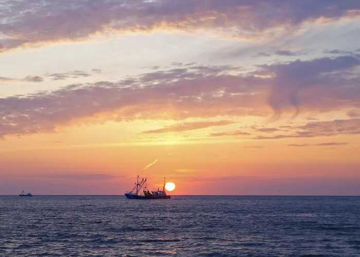 Bed & Breakfast Dutch African Breeze