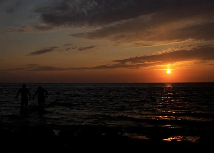 Dutch African Breeze