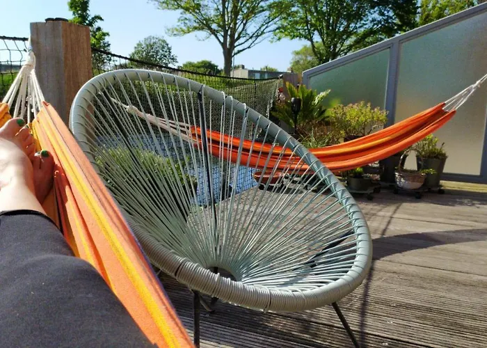 Dutch African Breeze *