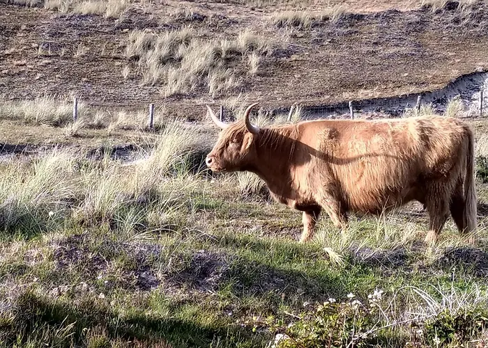 Dutch African Breeze Bed & Breakfast *