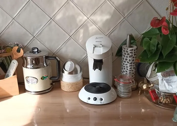 Dutch African Breeze Den Helder