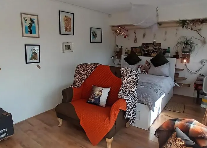 Bed & Breakfast Dutch African Breeze Den Helder