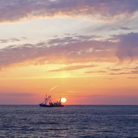 Bed & Breakfast Dutch African Breeze