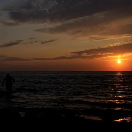 Dutch African Breeze