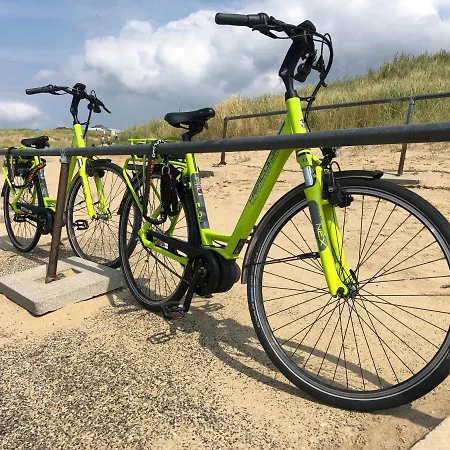 Dutch African Breeze