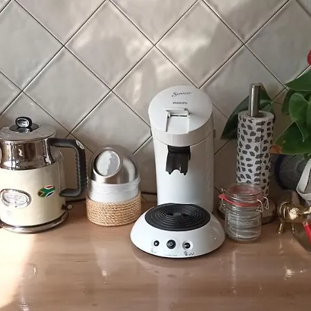 Dutch African Breeze Den Helder